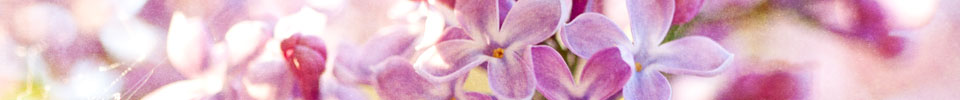 teaser picture
