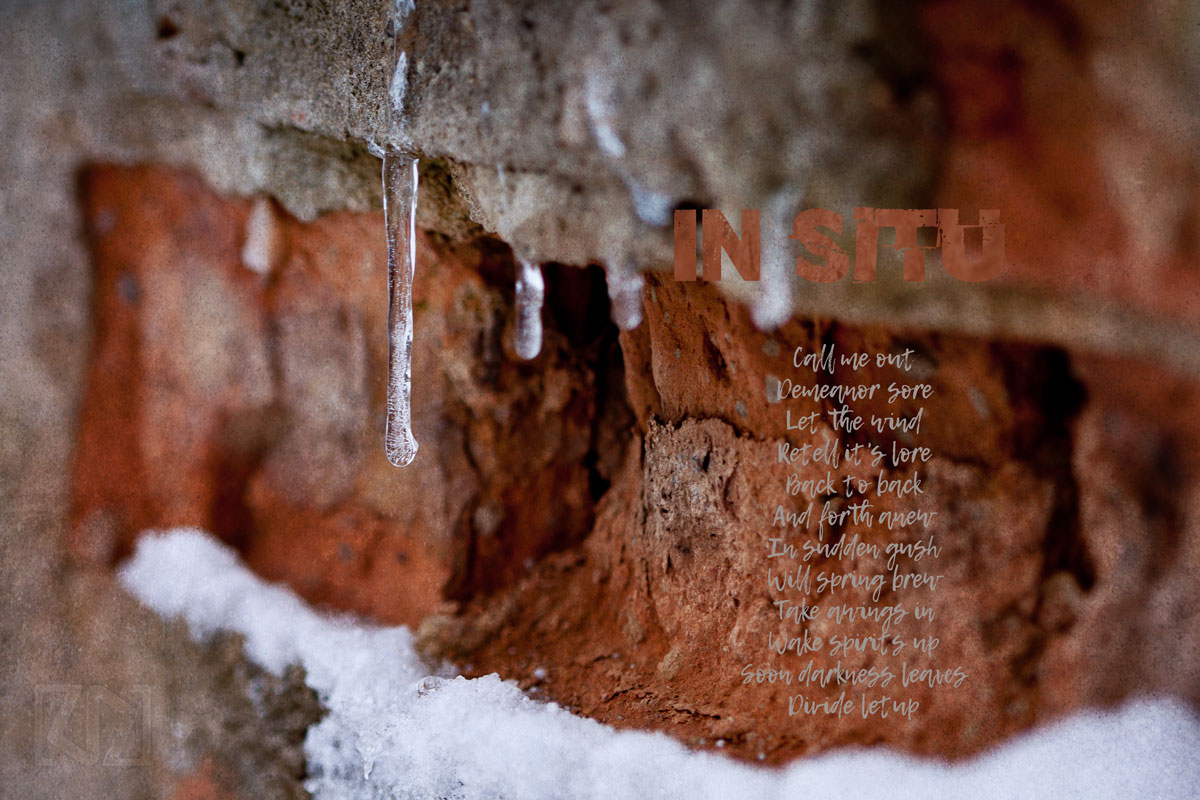 before & after february