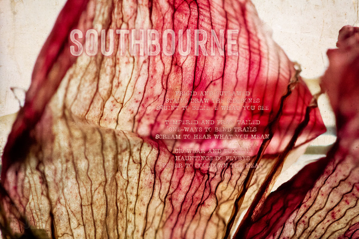 before & after april